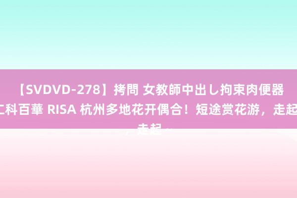 【SVDVD-278】拷問 女教師中出し拘束肉便器 仁科百華 RISA 杭州多地花开偶合！短途赏花游，走起～