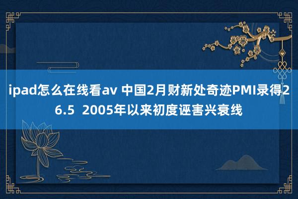 ipad怎么在线看av 中国2月财新处奇迹PMI录得26.5  2005年以来初度诬害兴衰线