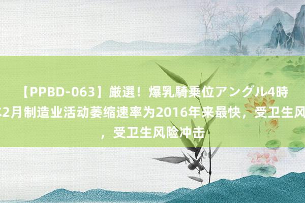 【PPBD-063】厳選！爆乳騎乗位アングル4時間 日本2月制造业活动萎缩速率为2016年来最快，受卫生风险冲击