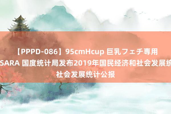 【PPPD-086】95cmHcup 巨乳フェチ専用ソープ SARA 国度统计局发布2019年国民经济和社会发展统计公报