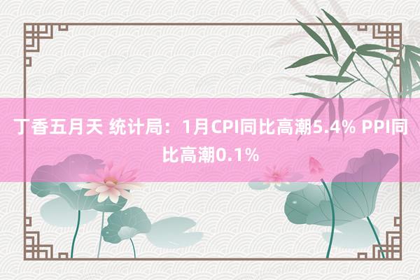 丁香五月天 统计局：1月CPI同比高潮5.4% PPI同比高潮0.1%