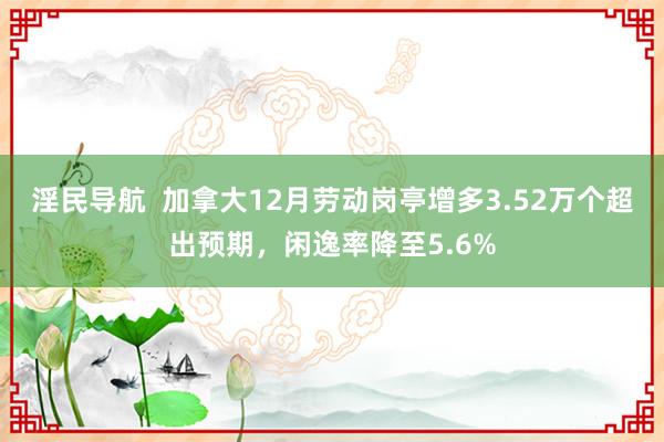 淫民导航  加拿大12月劳动岗亭增多3.52万个超出预期，闲逸率降至5.6%