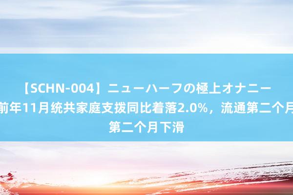 【SCHN-004】ニューハーフの極上オナニー 日本前年11月统共家庭支拨同比着落2.0%，流通第二个月下滑