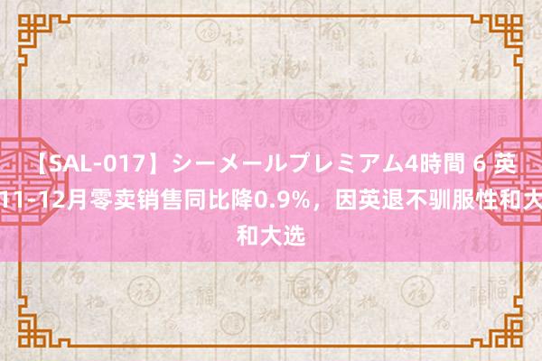 【SAL-017】シーメールプレミアム4時間 6 英国11-12月零卖销售同比降0.9%，因英退不驯服性和大选