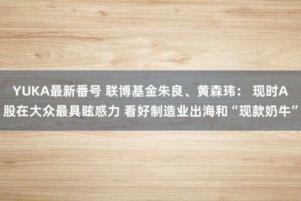 YUKA最新番号 联博基金朱良、黄森玮： 现时A股在大众最具眩惑力 看好制造业出海和“现款奶牛”