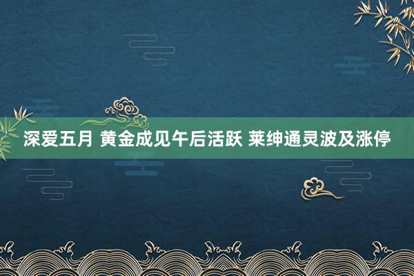 深爱五月 黄金成见午后活跃 莱绅通灵波及涨停