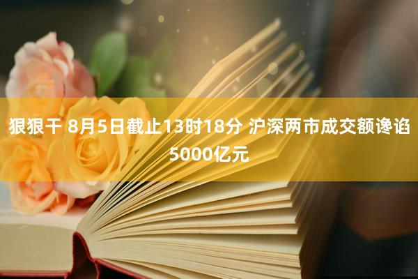 狠狠干 8月5日截止13时18分 沪深两市成交额谗谄5000亿元