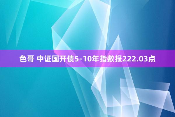 色哥 中证国开债5-10年指数报222.03点