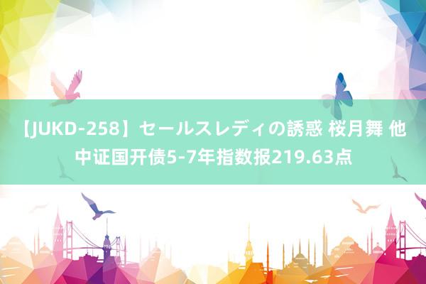 【JUKD-258】セールスレディの誘惑 桜月舞 他 中证国开债5-7年指数报219.63点