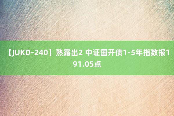 【JUKD-240】熟露出2 中证国开债1-5年指数报191.05点