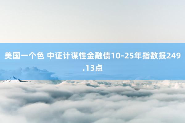 美国一个色 中证计谋性金融债10-25年指数报249.13点