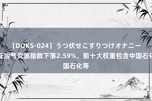 【DOKS-024】うつ伏せこすりつけオナニー 中证油气资源指数下落2.59%，前十大权重包含中国石化等