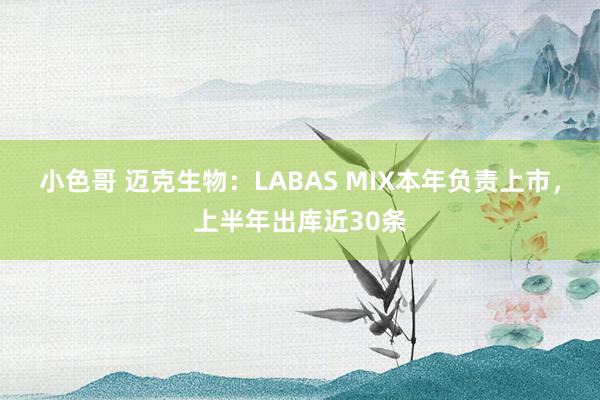 小色哥 迈克生物：LABAS MIX本年负责上市，上半年出库近30条