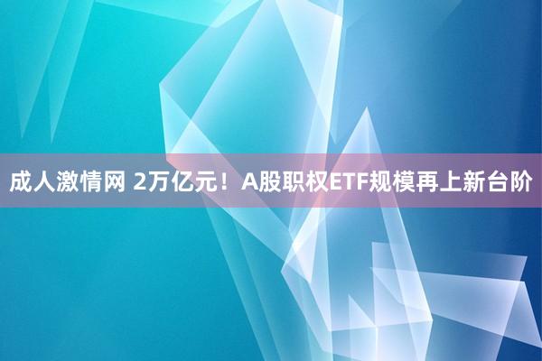 成人激情网 2万亿元！A股职权ETF规模再上新台阶