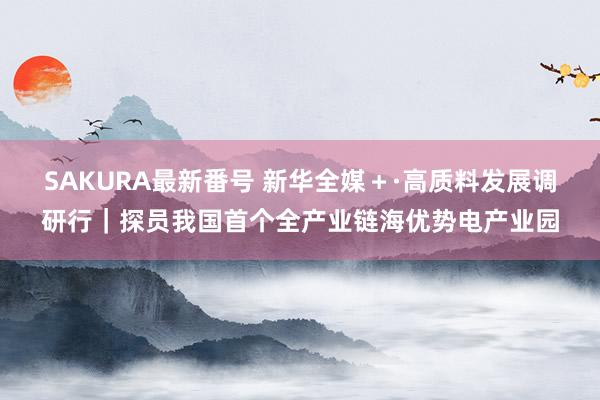 SAKURA最新番号 新华全媒＋·高质料发展调研行｜探员我国首个全产业链海优势电产业园