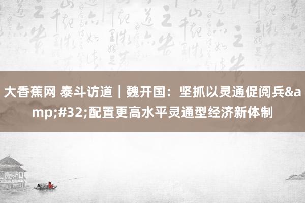 大香蕉网 泰斗访道｜魏开国：坚抓以灵通促阅兵&#32;配置更高水平灵通型经济新体制