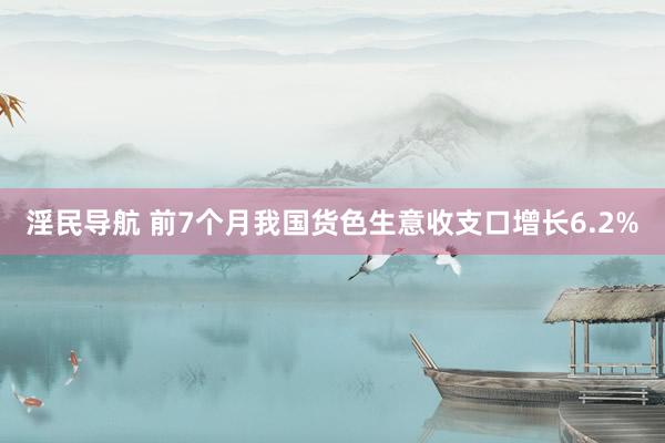 淫民导航 前7个月我国货色生意收支口增长6.2%