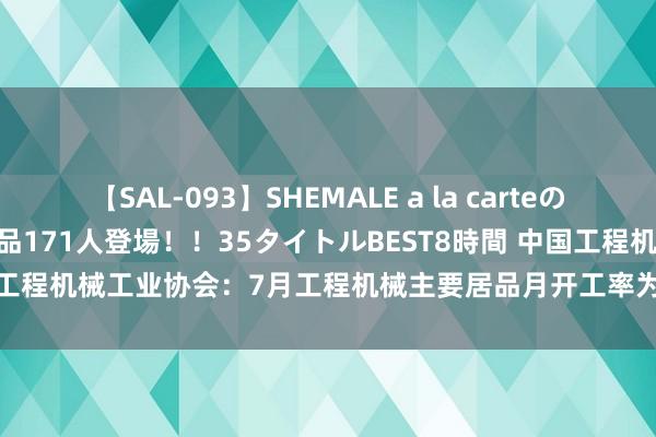 【SAL-093】SHEMALE a la carteの歴史 2008～2011 国内作品171人登場！！35タイトルBEST8時間 中国工程机械工业协会：7月工程机械主要居品月开工率为64.9% 环比下落2.27%