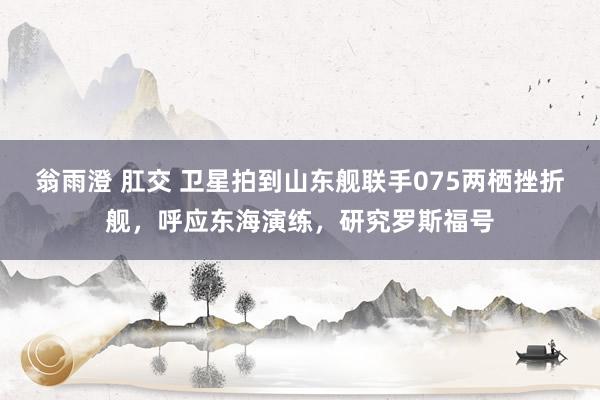 翁雨澄 肛交 卫星拍到山东舰联手075两栖挫折舰，呼应东海演练，研究罗斯福号