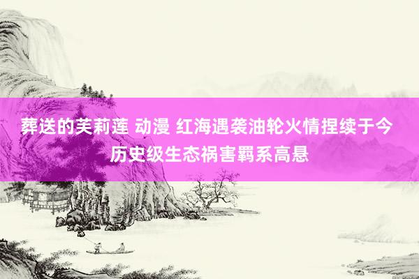 葬送的芙莉莲 动漫 红海遇袭油轮火情捏续于今 历史级生态祸害羁系高悬