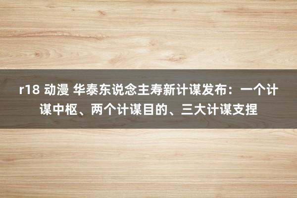 r18 动漫 华泰东说念主寿新计谋发布：一个计谋中枢、两个计谋目的、三大计谋支捏