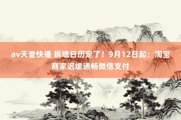 av天堂快播 拆墙日历定了！9月12日起：淘宝商家迟缓通畅微信支付