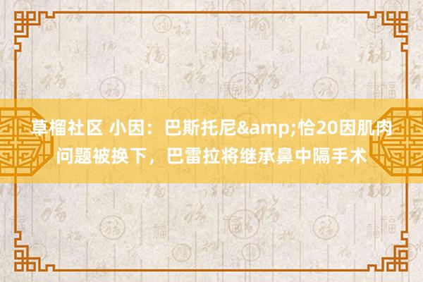 草榴社区 小因：巴斯托尼&恰20因肌肉问题被换下，巴雷拉将继承鼻中隔手术