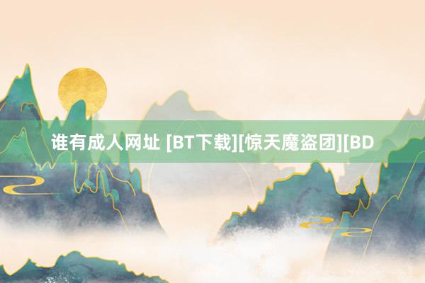 谁有成人网址 [BT下载][惊天魔盗团][BD